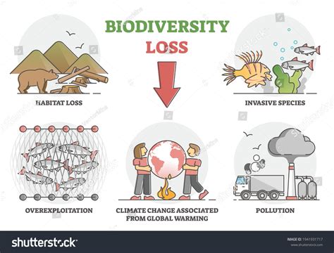 Biodiversity Loss Issues Causes Climate Ecosystem Stock Vector Royalty