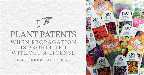 Plant Patents Trademarks What It Means For Home Gardeners Empress