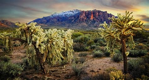 Hd Wallpaper Landscape Mountains Nature Az Cacti Usa Apache
