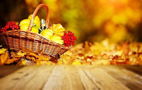 Fall Harvest Wallpaper ·① Download Free Amazing Hd Backgrounds For