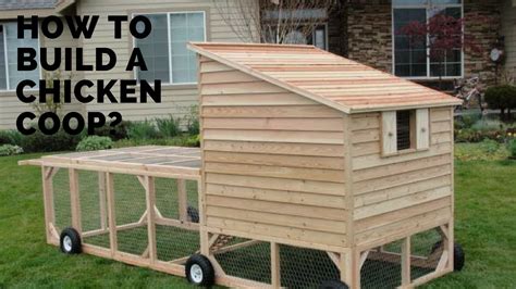 How To Build A Chicken Coop Build A Chicken Coop Plan For 10 Chickens