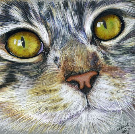 Cat Color Pencil Drawing Michelle 15