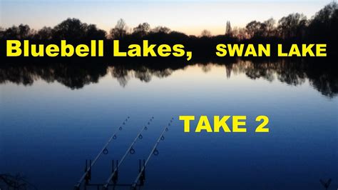 Swan Lake Bluebells Youtube