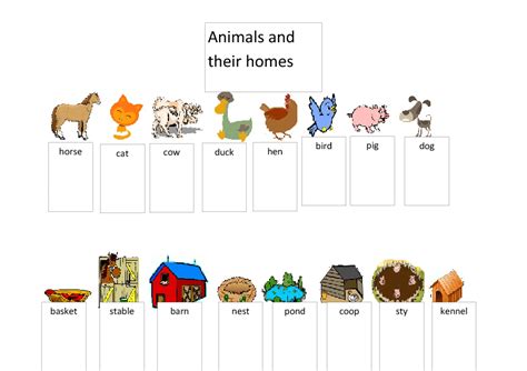 14 Animals With Their Homes Worksheet  Deardiary39
