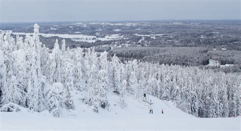 Fotos Gratis Finlandia árbol Esquí Frío Nieve Congelación