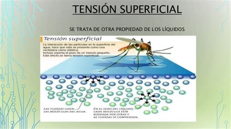 Tensión Superficial