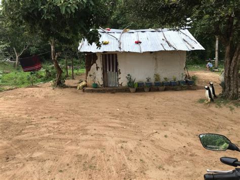 How To Share Build 5 Houses For Rural Villagers In Sri Lanka Globalgiving