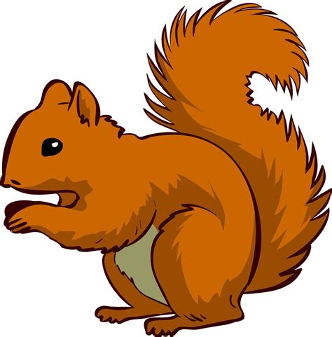 Free Squirrel Vector Art Download 93 Squirrel Icons And Graphics Pixabay