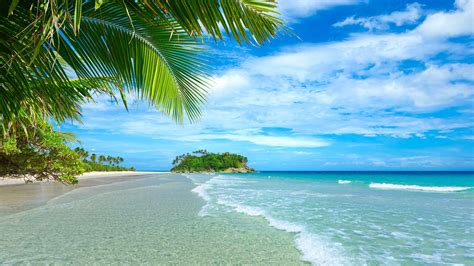 Blue Sea And Sky Beach Coast Palm Trees Tropical