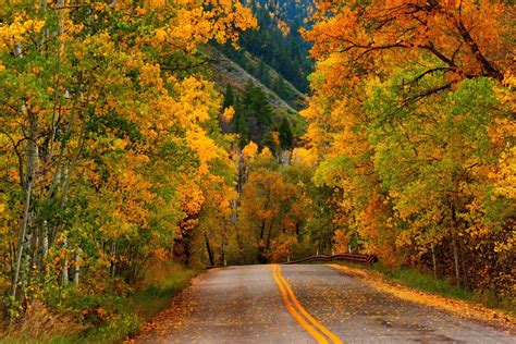 Autumn Mountain Road Hd Wallpaper Background Image 3163x2109