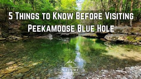 Peekamoose Blue Hole Is Truly Stunning And Worth Visiting If You Are In