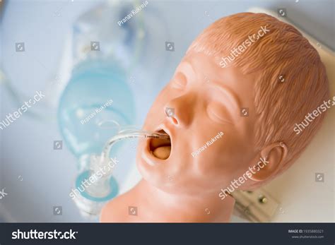 Medical Training Intubation Child Sized Manikin Stock Photo 1935880321