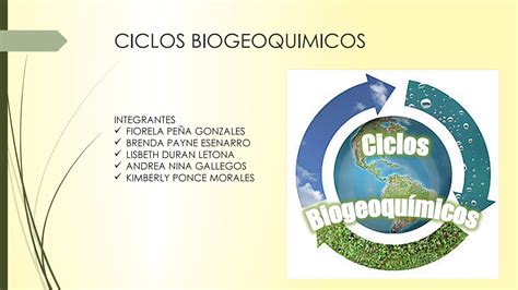 Questões Sobre Ciclos Biogeoquimicos EDULEARN