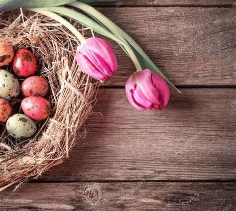 Easter Egg Nest With Flowers On Rustic Wooden Background — Stock Photo