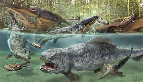 Devonian Animals Devonian Fish Sidesteps Current Evolutionary Theory