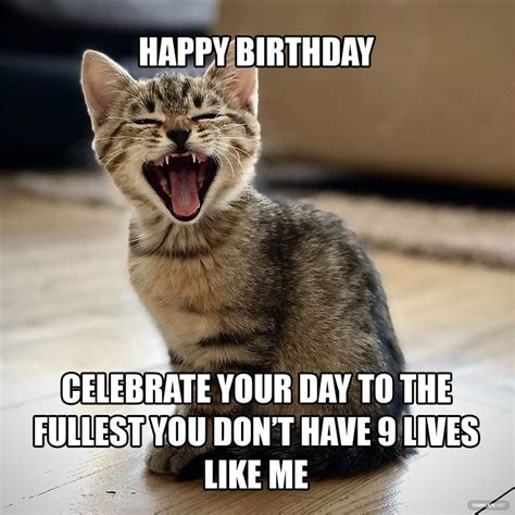 Belated Birthday Meme Cat Edelmira Dale
