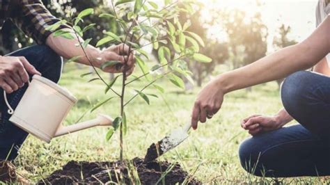 Nos Organizamos Para Mejorar El Medio Ambiente Aprende En Casa Unión