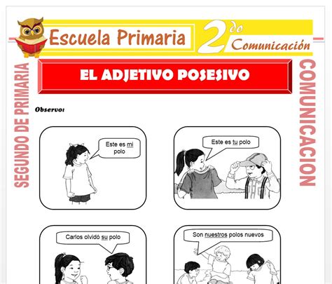 El Adjetivo Posesivo Para Segundo De Primaria Escuela Primaria 151032