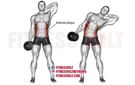 How To Do The Dumbbell Side Bend Obliques Fitness Volt