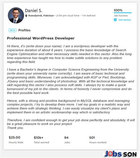 Upwork Profile Overview Sample For Wordpress Developer