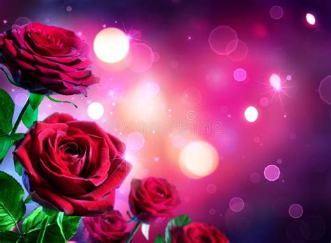 Heart Of Red Roses Stock Photo Image Of Background Love 42799892