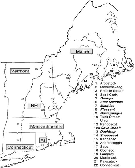 Summary Atlantic Salmon In Maine The National Academies Press