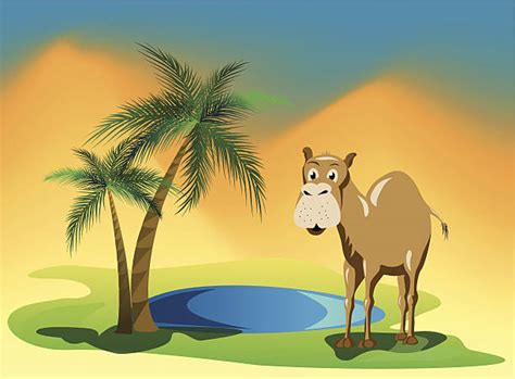 Royalty Free Desert Oasis Clip Art Vector Images And Illustrations Istock