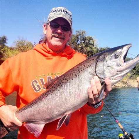 Sacramento River King Salmon Fishing Feisty Fish Guide Service