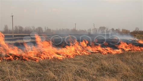 Fire Stock Footage #AD ,#Fire#Footage#Stock in 2020 | Fire video, Fire stock, Fire