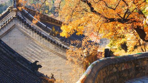China Autumn Scene Bing Wallpaper Download