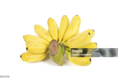 Banana Bunch Cluster Isolated On White Background Stock Photo