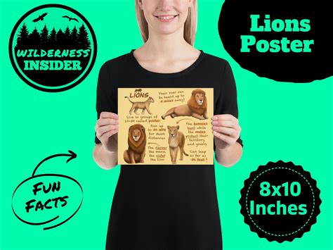 Lions Educational Poster Wildlife Fun Facts For Kids And Etsy