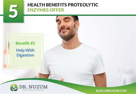 5 Health Benefits Proteolytic Enzymes Offer Dr Nuzum Blog