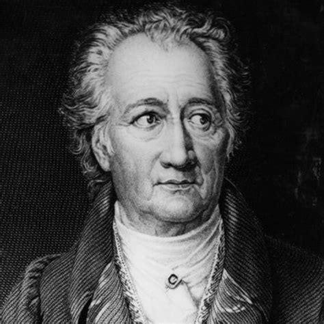 Goethe, for example, developed his own theory of color and. Johann Wolfgang von Goethe - Playwright, Author, Poet ...