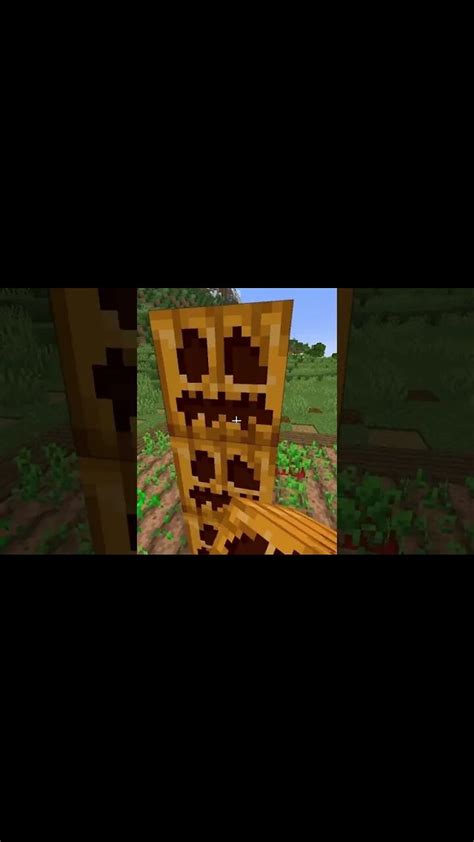 Minecraft Scarecrow