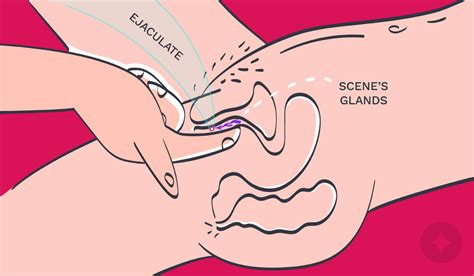 Girls G Spot In Pussy Telegraph