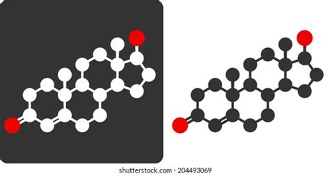 Testosterone Male Sex Hormone Molecule Flat Stock Illustration 204493069 Shutterstock