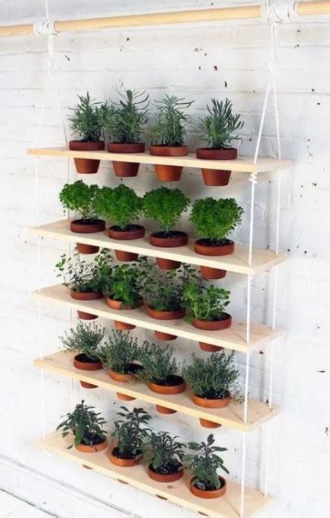 Homelysmart 15 Ways To Decorate The Home With Potted Plants Homelysmart