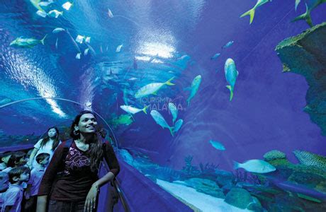 Aquaria klcc is not just a place for you to visit, but you can also learn about some of their conservation projects that are trying to keep the ocean healthier. Aquaria-KLCC. - Penginapan.net 2020