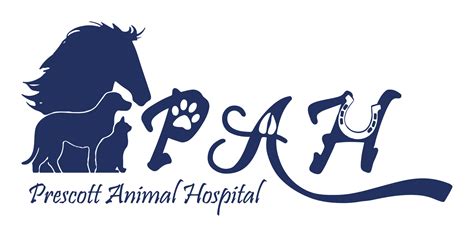 Pet Surgery in Prescott, AZ | Prescott Animal Hospital