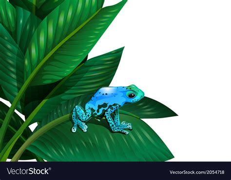 A Frog Above Leaf A Plant Royalty Free Vector Image