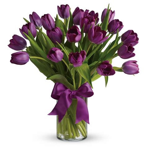 Passionate Purple Tulips Canadiana Flowers