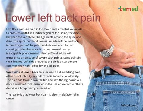 Muscles in lower left abdomen. Lower left back pain - Causes and treatment options. Temed.com