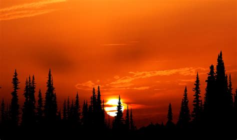 Beautiful Orange Sunset 4k Ultra Hd Wallpaper Background Image