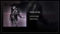 Lenny Kravitz - Fields of Joy ( 1991 ) - YouTube