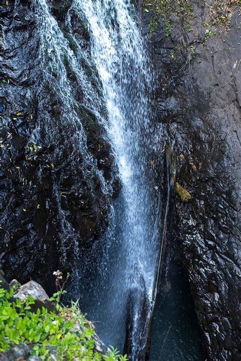 Unesco World Heritage Centre Document Gondwana Rainforests Of Australia