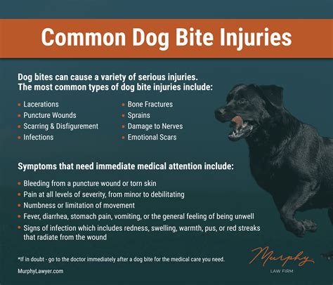 How Serious Is My Dog Bite Wound Murphy Law Firm