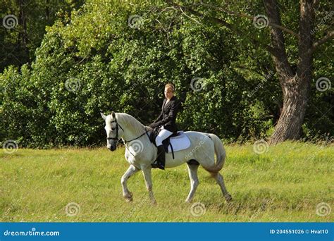 Equestrian Girl In English Style Trial Riding White Dressage Horse