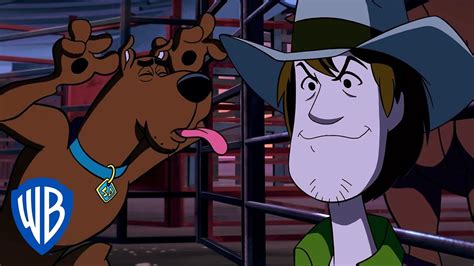 Scooby Doo Shaggy And Scooby The Bronco Pros Wb Kids Youtube