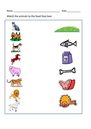 Animals And Their Food Worksheet Teaching Resources